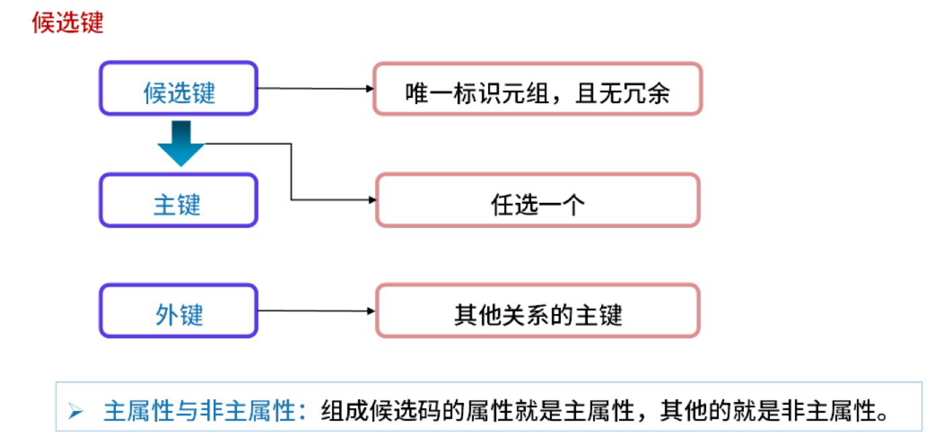 image-20251010233838739