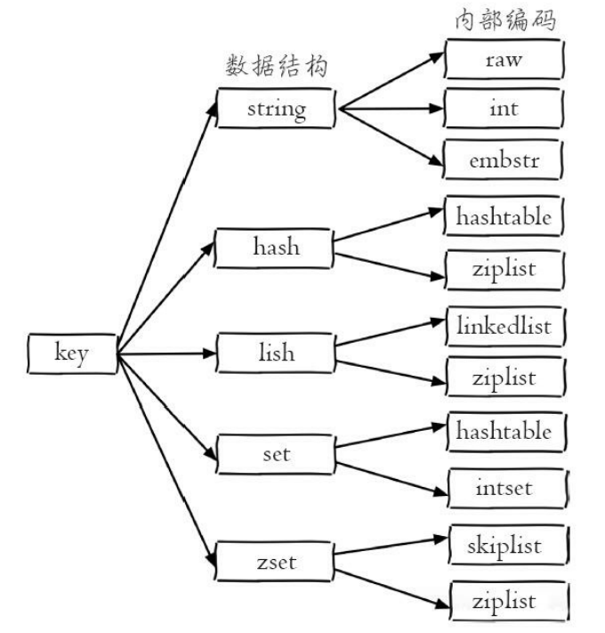 Redis内部编码实现